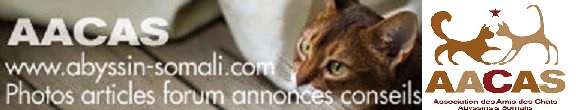 Association des Amis des Chats Abyssins et Somalis